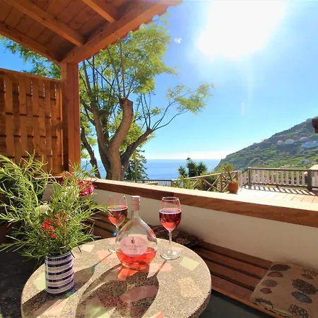 Quinta Tropical * Arco da Calheta (Madeira)